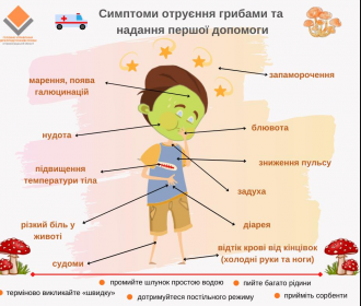 /Files/images/Гриби1 (1).png